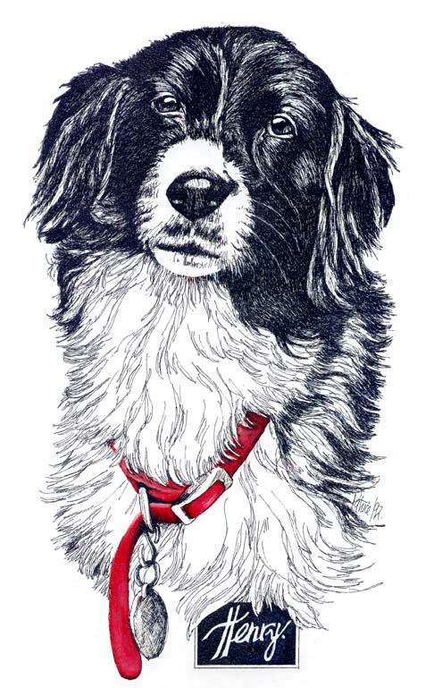 The Henry Painting was a 9"x12" Pen & Ink Drawing. It was commissioned by Ken as a Christmas present for his wife. Henry had recently passed away and Ken wanted something that would keep her memory with them. She always, always wore the red collar depicted and Ken asked that I make sure to include it and make it red! Sadly, Ken's wife was overwhelmed with grief when she opened the painting and I was told, Christmas was pretty much ruined. :(