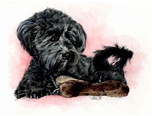 Brave Lucy ~ Watercolour by Patrice