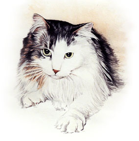 Longhaired Kitty ~ Painting by Patrice