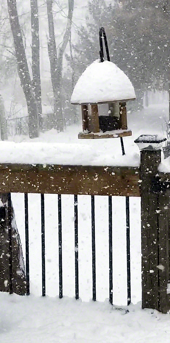 Snow falling on bird feeder ~ Photo by Patrice